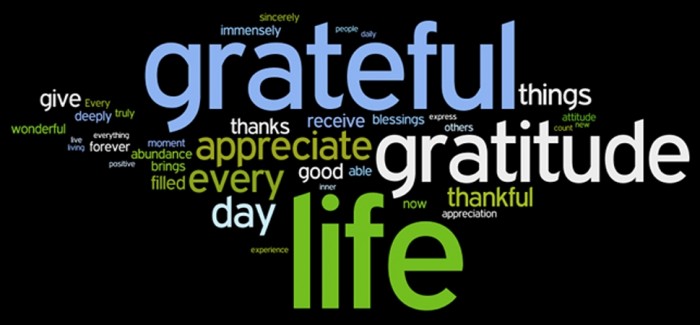 attitude of gratitude