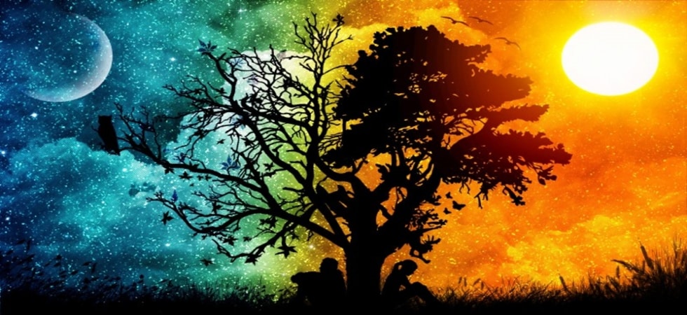 5 Ancient Interpretations for The Meaning of the Tree of Life