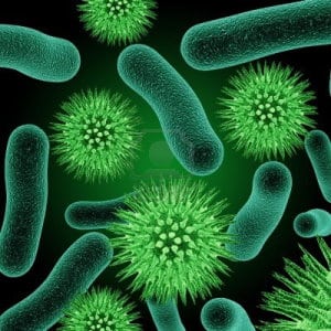 bactericidal activity
