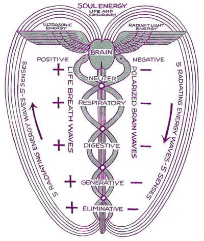 Magnetic Therapy