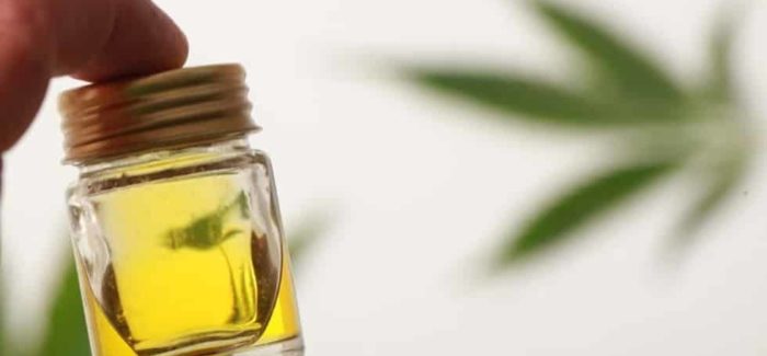 Cannabis Oil