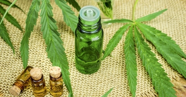 Cannabis Oil