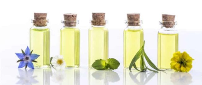 Essential Oil Carriers