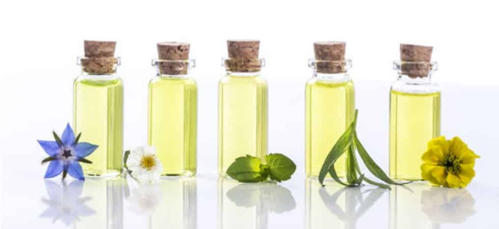 Safe and Effective Essential Oil Carriers
