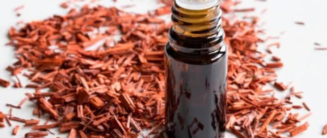 Sandalwood Essential Oil ~ Cleanse the Pituitary and Awaken the Third Eye sandalwood essential oil