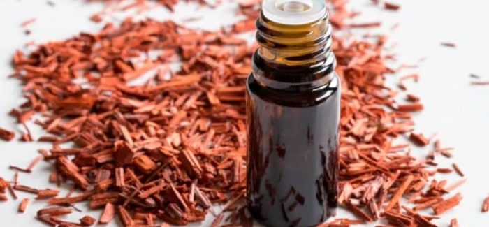 Sandalwood Essential Oil ~ Cleanse the Pituitary and Awaken the Third Eye sandalwood essential oil