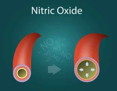 Nitric Oxide