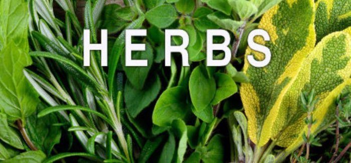 Herbs For Calming